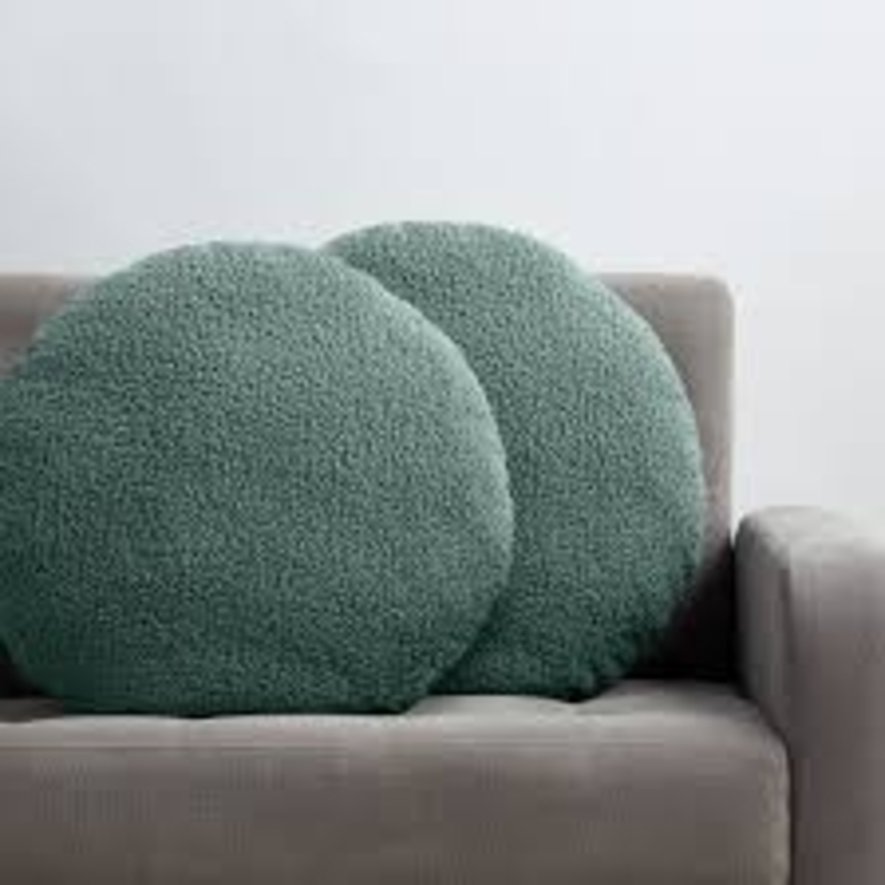 ISO !!🎀❤️❤️Mainstrays Teddy Pillows Eucalyptus Green